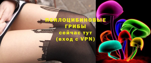 прущие грибы Аркадак