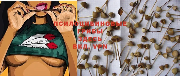 mix Горнозаводск