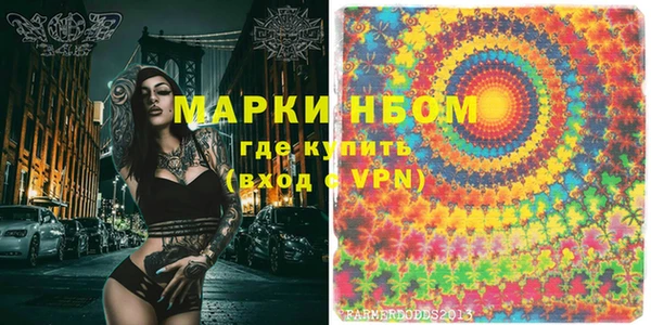 прущие грибы Аркадак