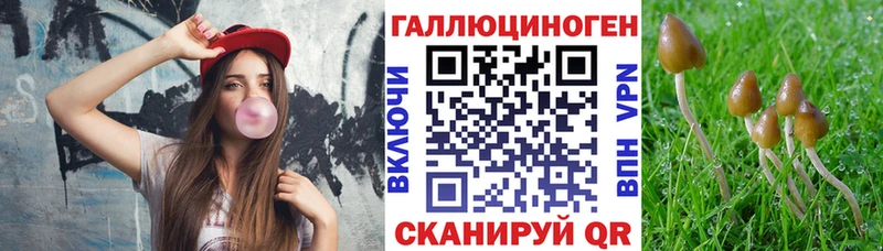 Псилоцибиновые грибы Psilocybe  как найти наркотики  МЕГА   Тверь 
