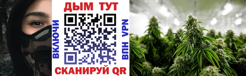 Каннабис планчик  Тверь 